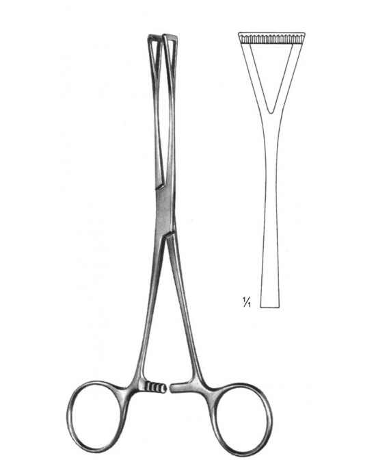 SS-19-5851-18