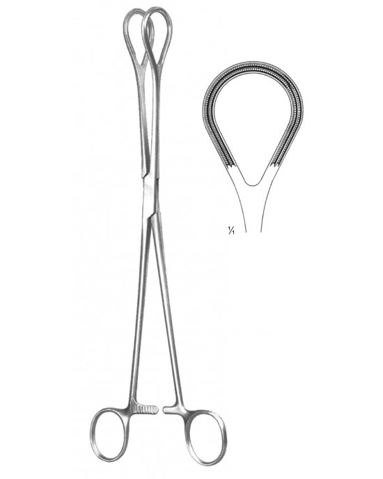 SS-19-5853-26