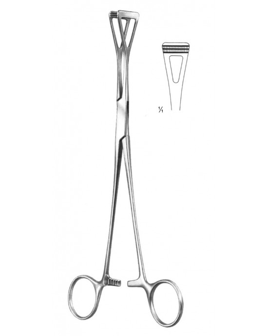 SS-19-5854-18