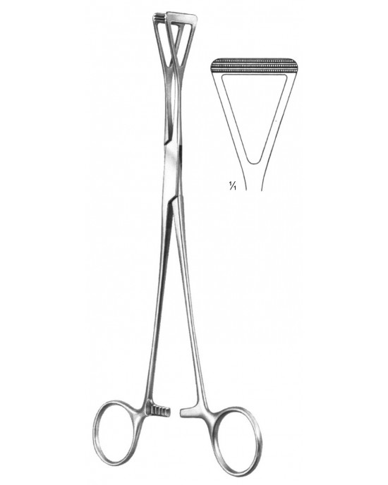SS-19-5854-23