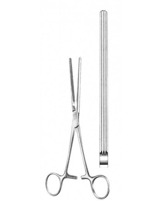 SS-19-5855-23