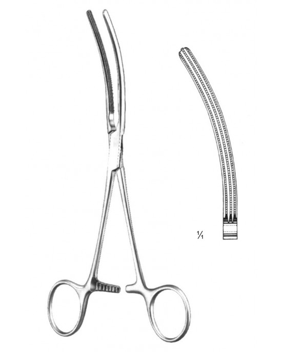 SS-19-5856-13