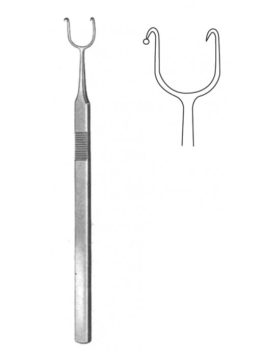 SS-22-6775-01