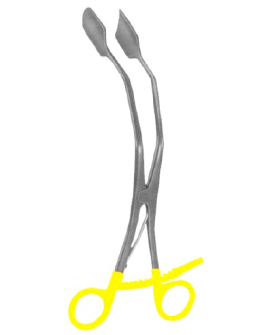 SS-29-8013-00