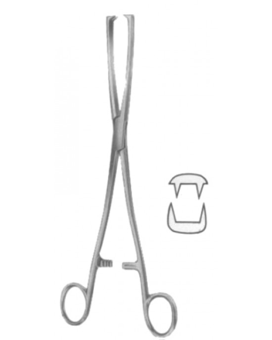 SS-29-8179-10