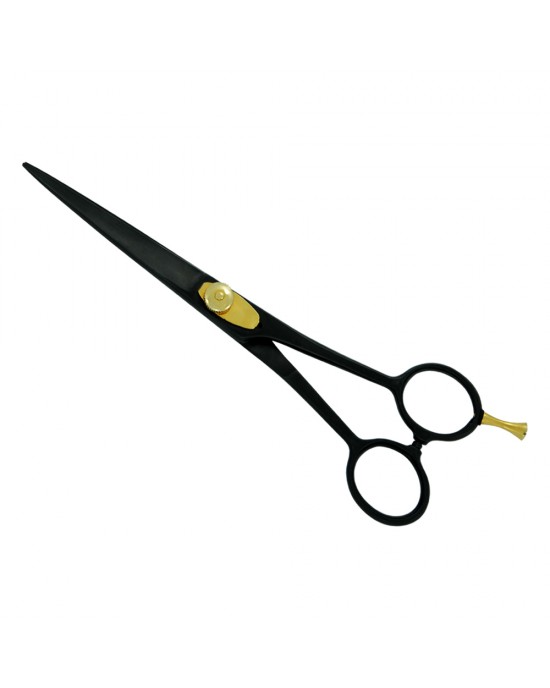 SS-01-5095