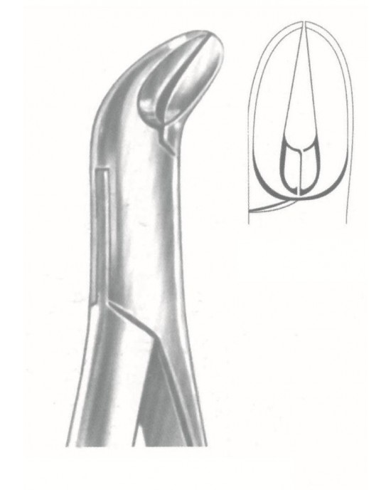 SS-50-1008