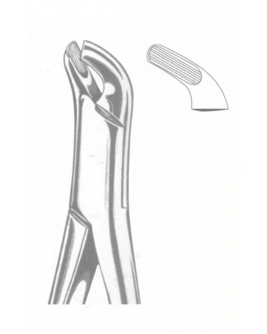SS-50-1019