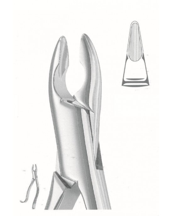 SS-50-1036