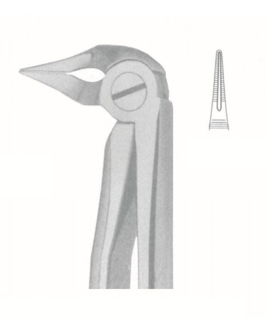 SS-51-1126