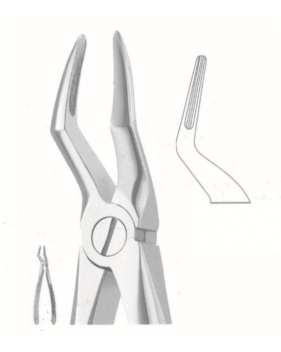SS-51-1137