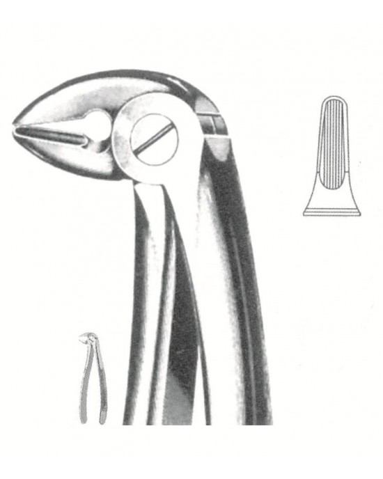 SS-51-1146
