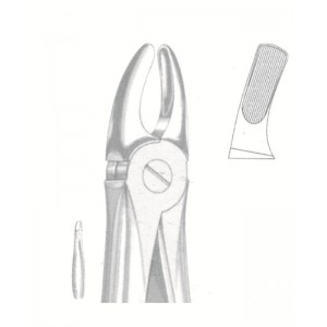 SS-51-1181