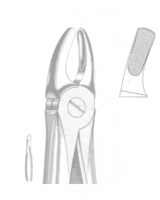 SS-51-1181