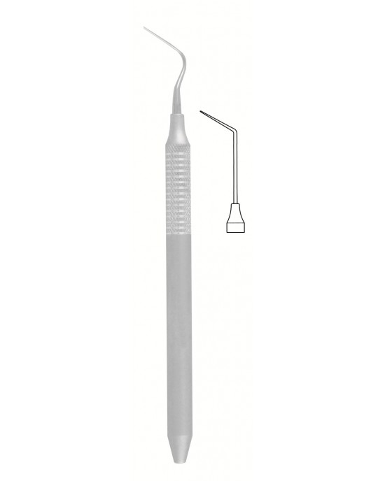 SS-56-1556