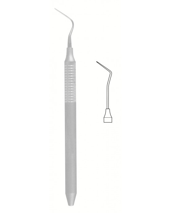 SS-56-1559