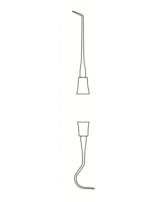 SS-56-1579
