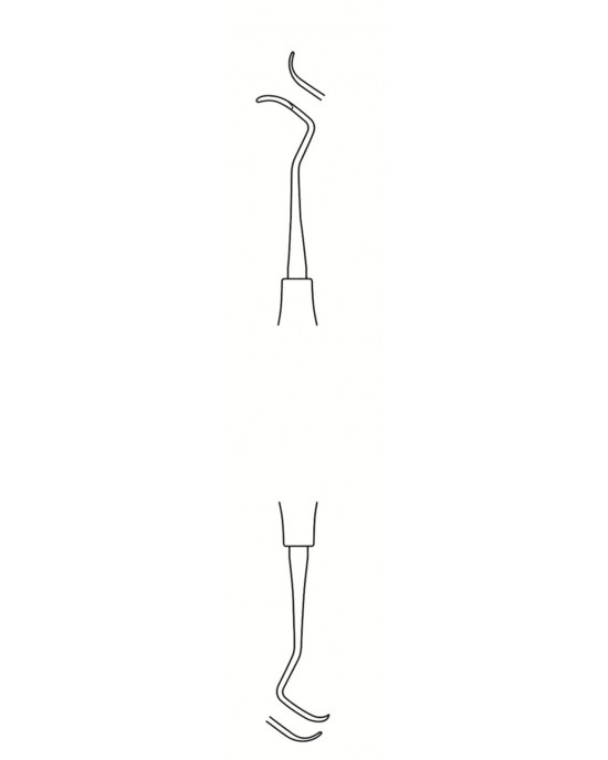 SS-56-1596