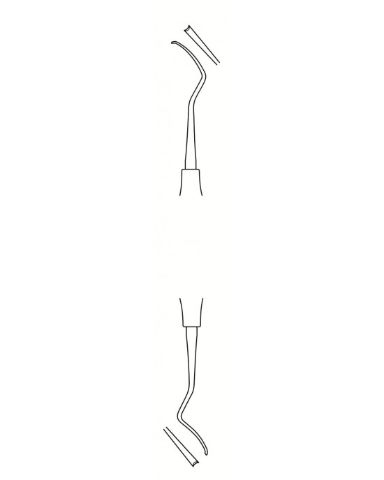 SS-56-1613