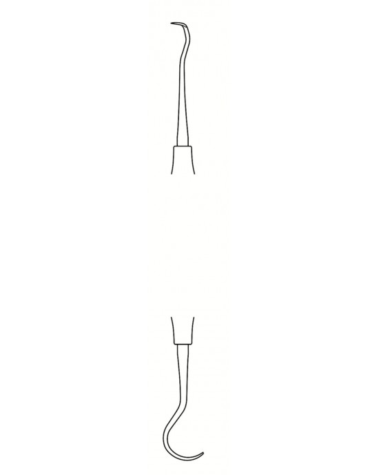 SS-56-1637