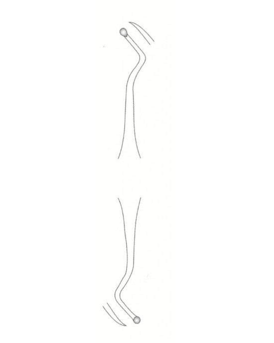 SS-58-1829