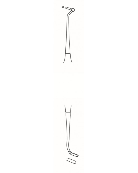 SS-60-2022