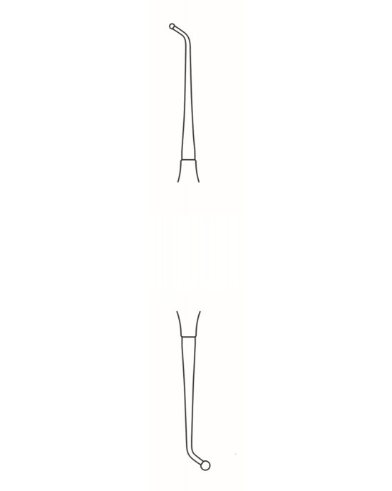 SS-60-2024