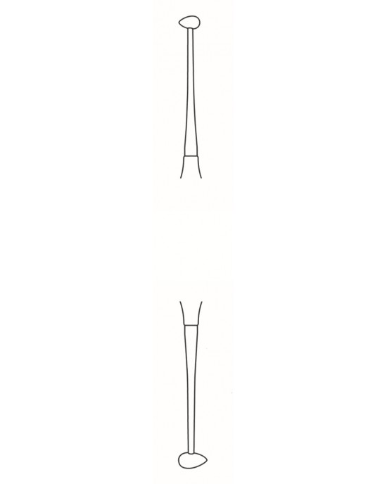 SS-60-2025