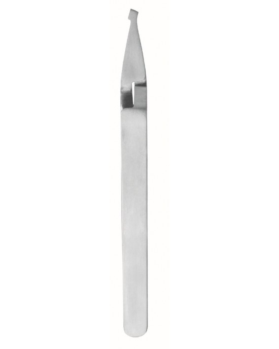 SS-73-3595