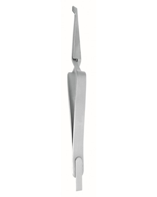 SS-73-3596