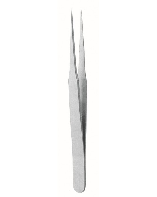 SS-73-3598