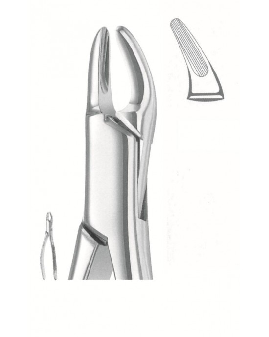 SS-50-1039