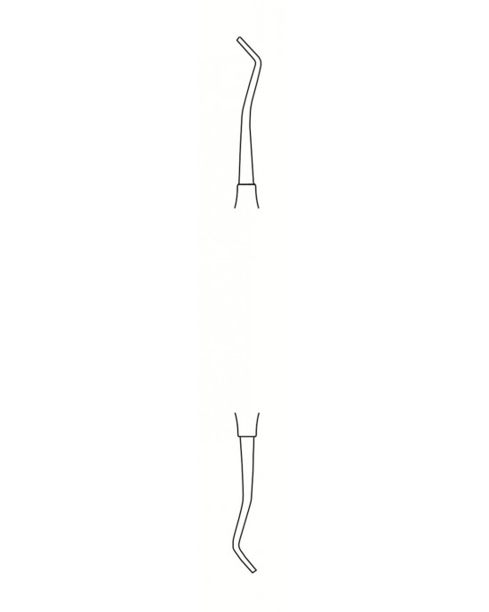 SS-55-1519