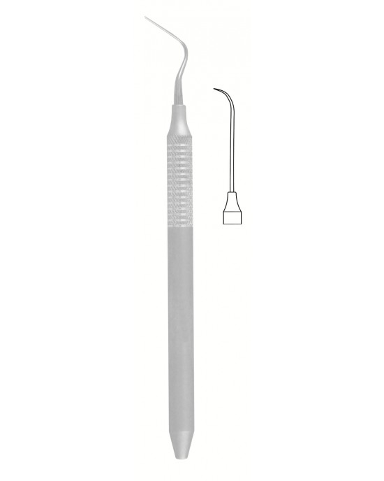 SS-56-1551