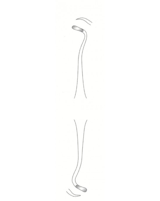 SS-58-1828