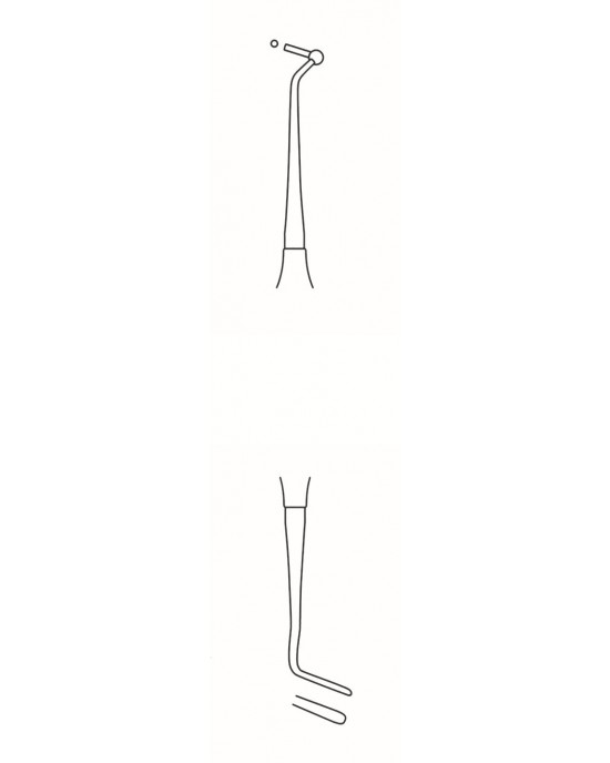 SS-60-2021