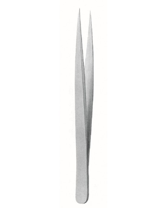 SS-73-3597