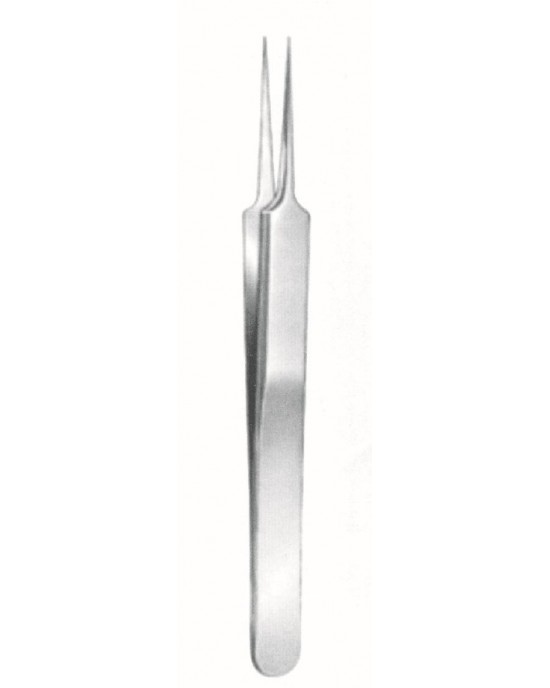 SS-73-3599