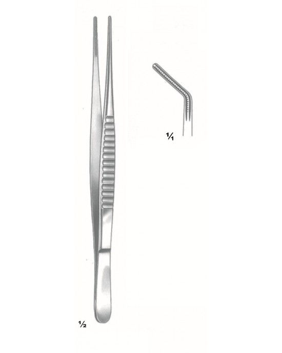 SS-75-3855