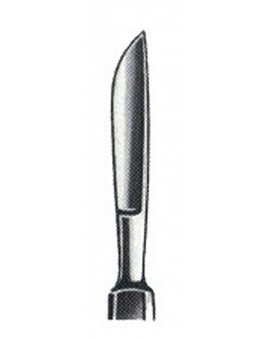 SS-01-1019-02