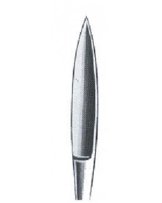 SS-01-1022-02