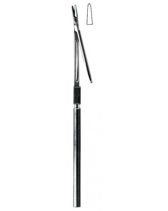 SS-01-1038-18