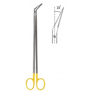 SS-06-1855-19