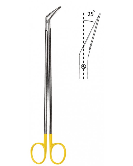 SS-06-1855-19