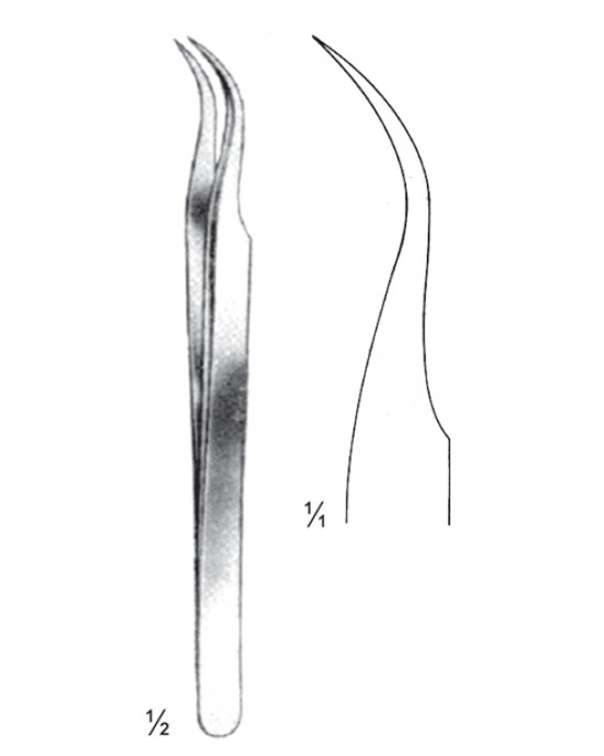 SS-08-2146-11