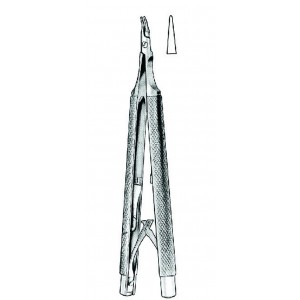 SS-17-5088-13