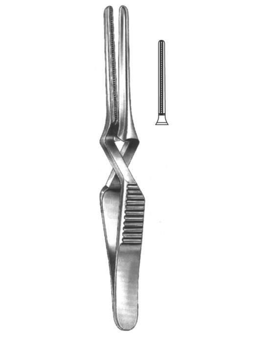 SS-19-5529-07