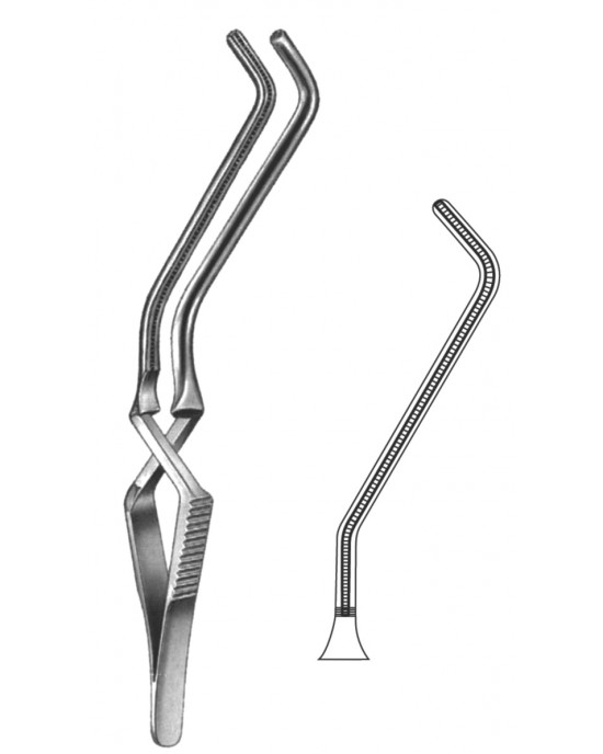 SS-19-5534-02