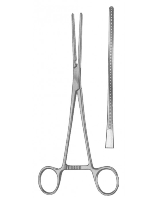 SS-19-5548-18