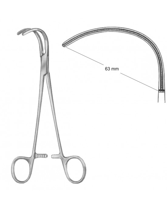 SS-19-5569-01